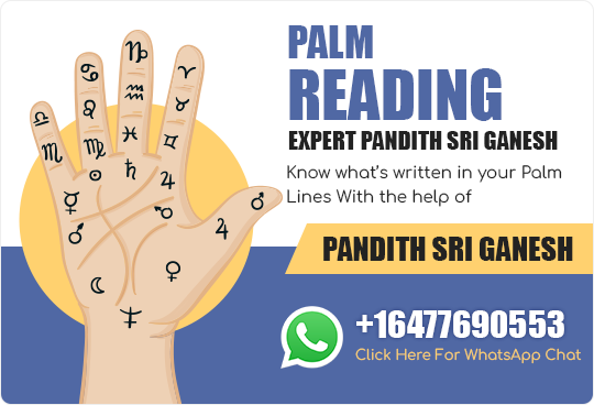 Palm Reading
